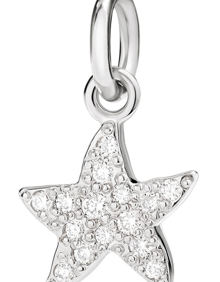 CHARMS DODO MOD. DMB5003STARSDB0OB-0
