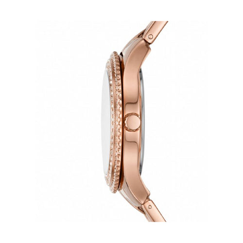 Load image into Gallery viewer, FOSSIL Mod. STELLA-1
