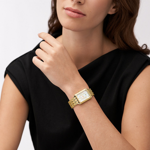 Load image into Gallery viewer, FOSSIL GROUP WATCHES Mod. ES5304-4
