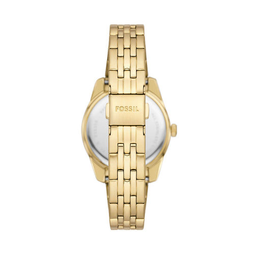 Load image into Gallery viewer, FOSSIL Mod. SCARLETTE-5
