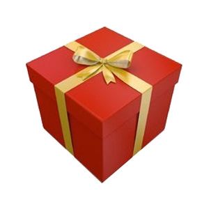 GIFT WRAPPING / CONFEZIONE REGALO / PAQUET CADEAUX / PAQUETE REGALO-0