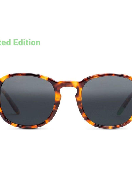 Guilin – Tortoise - SUN-0