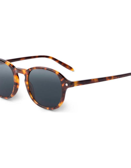 Guilin – Tortoise - SUN-1