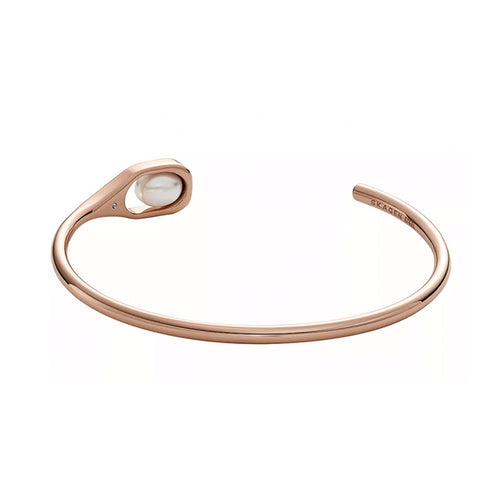 Load image into Gallery viewer, SKAGEN DENMARK JEWELS JEWELRY Mod. SKJ1748791-1
