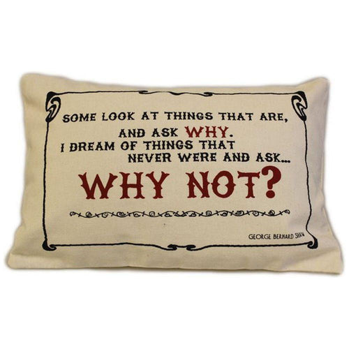 Load image into Gallery viewer, CUSCINI LETTERARI - Copricuscino in Juta lavata / Cotton pillow case  WHY NOT - Size 38x25cm-0
