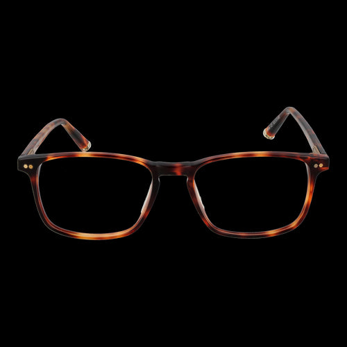 Load image into Gallery viewer, TAYLOR MORRIS MOD. SW16 52C2-1
