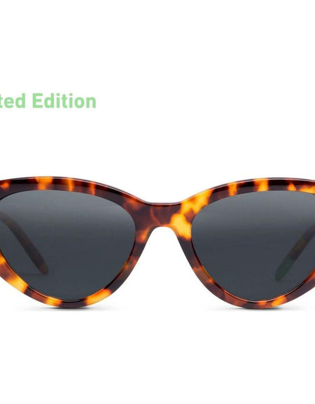 Scandola – Tortoise - SUN-0