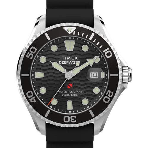 Load image into Gallery viewer, TIMEX Mod. MERIDIAN-0
