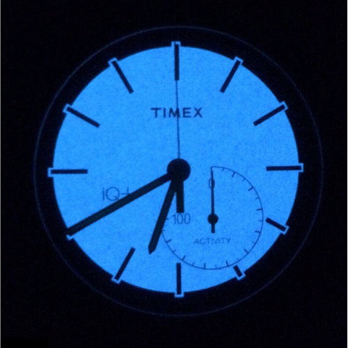 Load image into Gallery viewer, TIMEX Mod. IQ+-5
