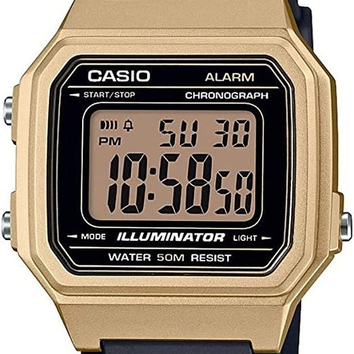 Load image into Gallery viewer, CASIO SPORT COLLECTION-0
