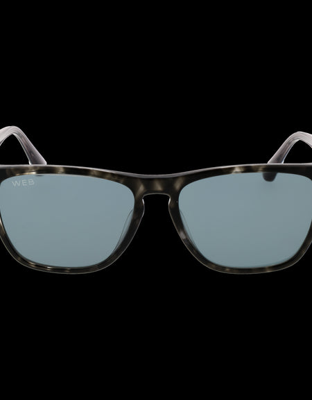 WEB MOD. WE0363 5520V-1