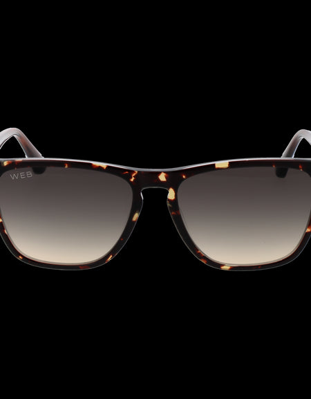 WEB MOD. WE0363 5556B-1