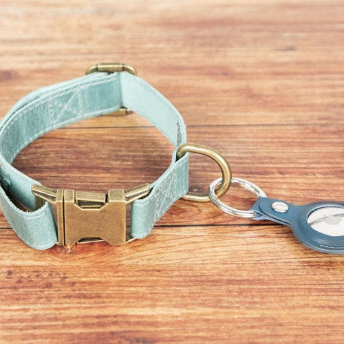 Load image into Gallery viewer, Scobby Leather Dog Collar-0
