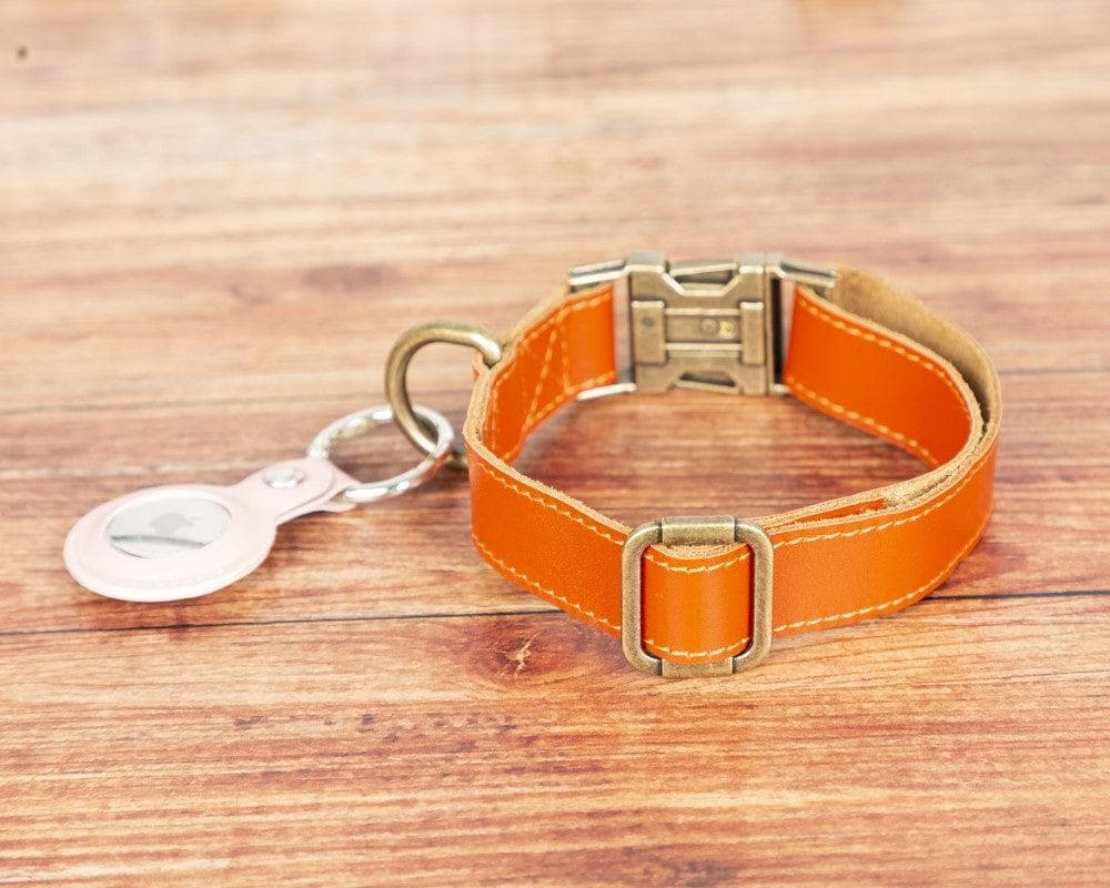 Scobby Leather Dog Collar-3