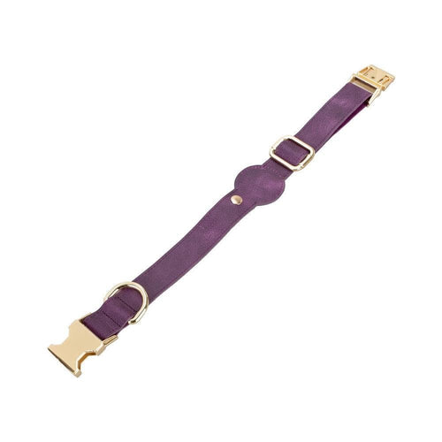 Load image into Gallery viewer, Pet Leather Collar with Apple AirTag Compatible Slot-6
