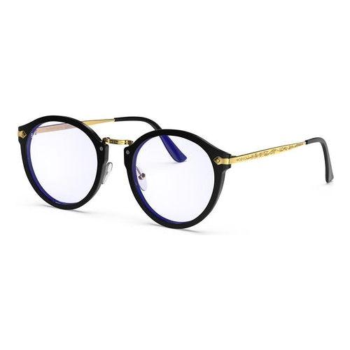 Load image into Gallery viewer, Vintage Raider B+
