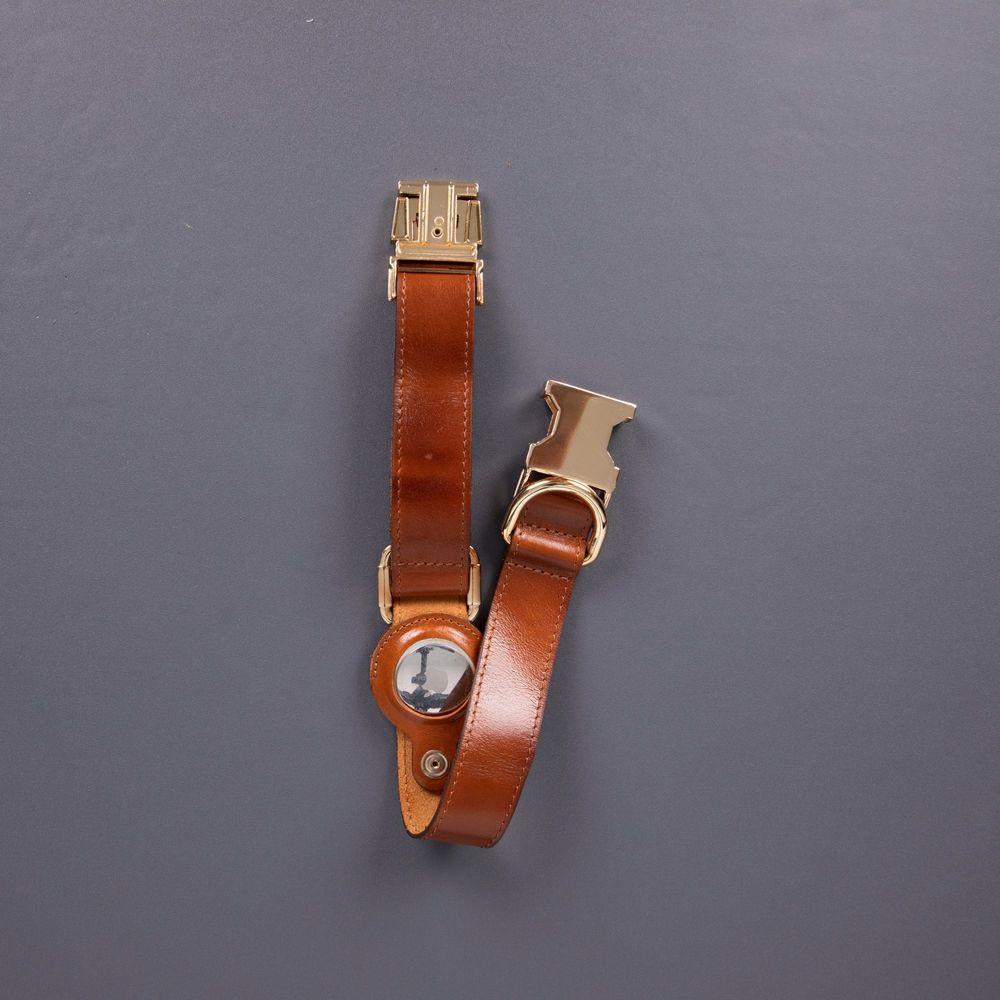 Charlotte Handcrafted Calfskin Leather Dog Collar - Compatible with AirTag-2