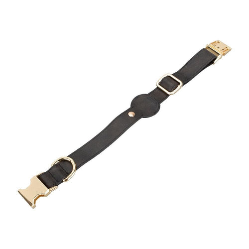 Load image into Gallery viewer, Pet Leather Collar with Apple AirTag Compatible Slot-7
