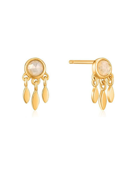 Ladies' Earrings Ania Haie E026-06G Sterling silver 1 cm-0