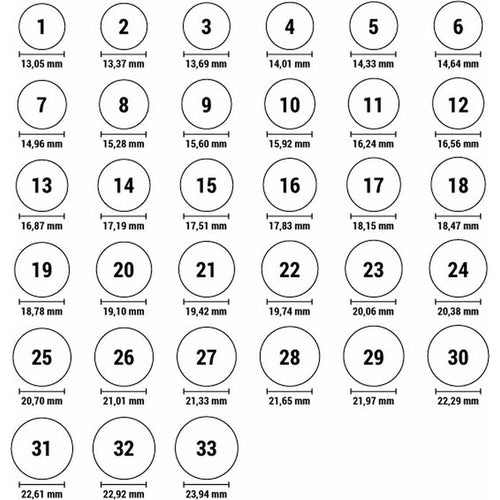 Load image into Gallery viewer, Ladies' Ring Morellato SACR10014 (17,19 mm)-1
