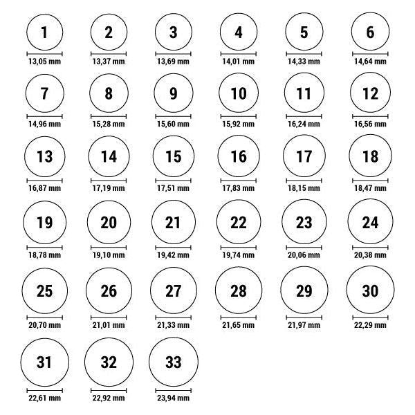 Ladies' Ring Adore 5489627 (15)-1