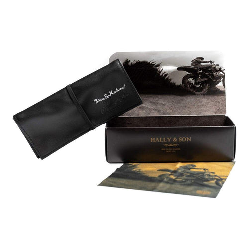 Load image into Gallery viewer, Unisex Sunglasses Hally &amp; Son DH501S02 Golden
