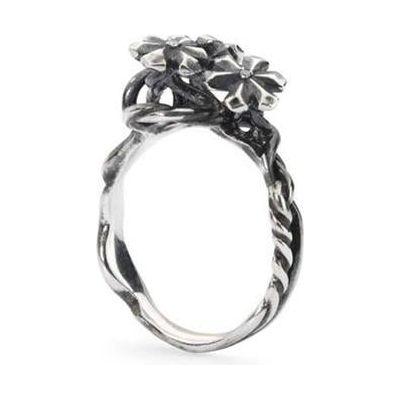 Load image into Gallery viewer, TROLLBEADS Mod. TAGRI-00304-0
